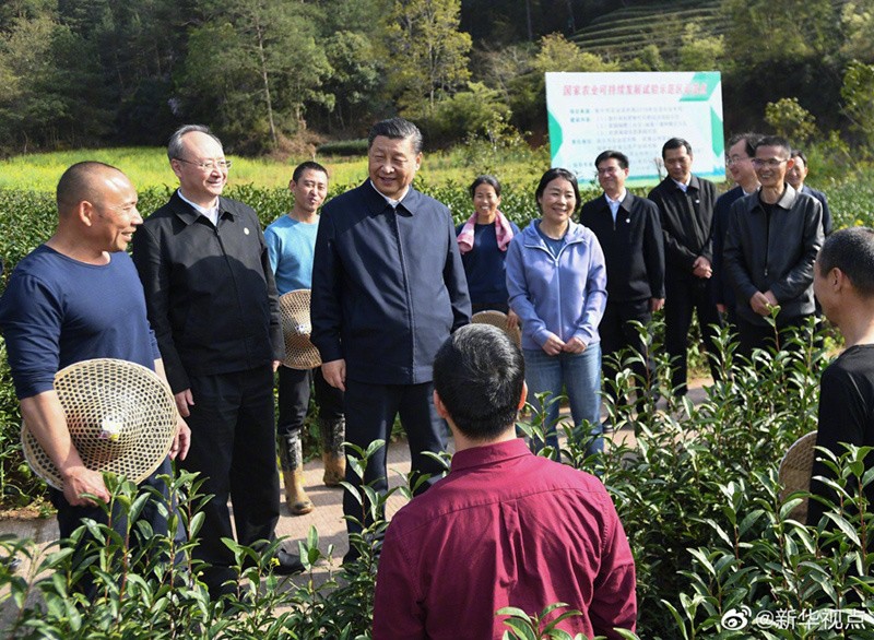 3月22日，习近平总书记在南平武夷山市星村镇燕子窠生态茶园同科技特派员、茶农亲切交流。.jpeg