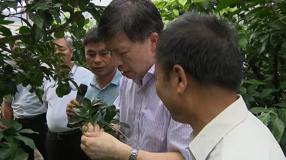 “江西水果产业发展战略研究”项目组开展调研