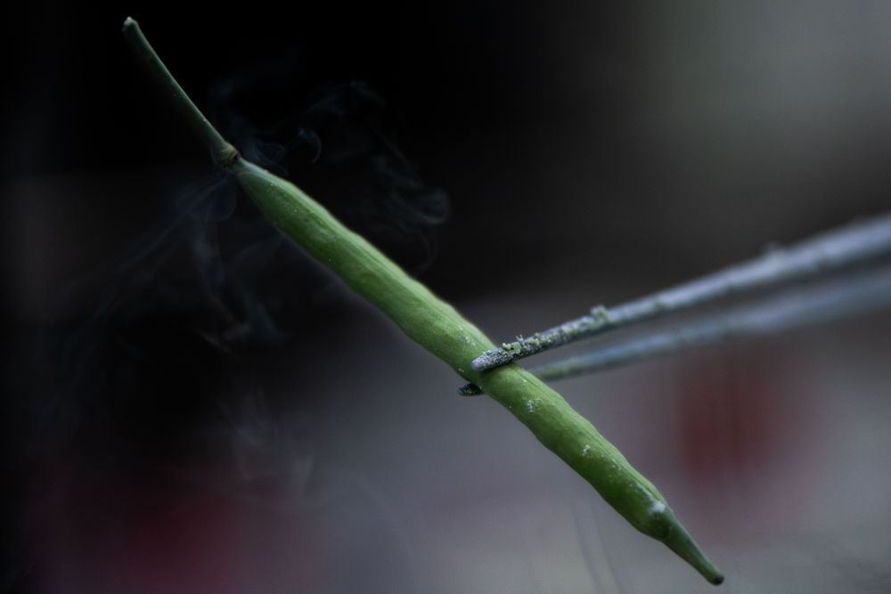 “油菜设计师”，让一粒粒种子开成油菜花海