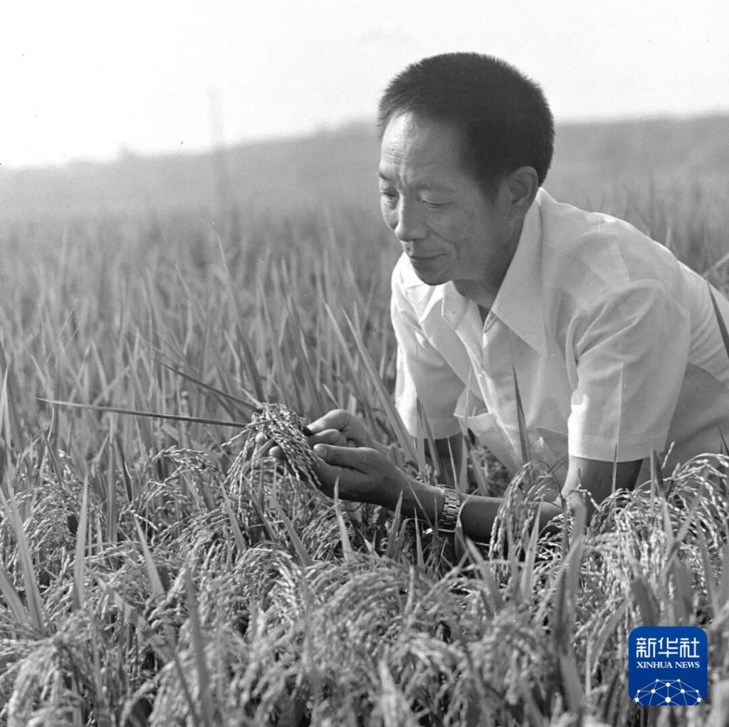 世界粮食日，我们格外怀念他